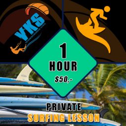 private surfing lessons coupon