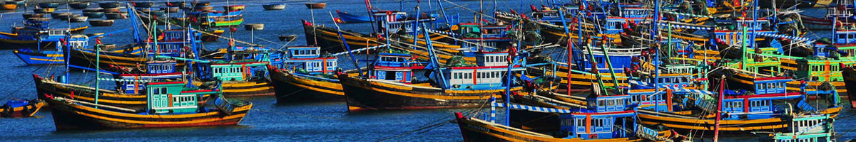 mui ne fishing village